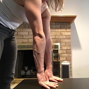 Forearm muscles